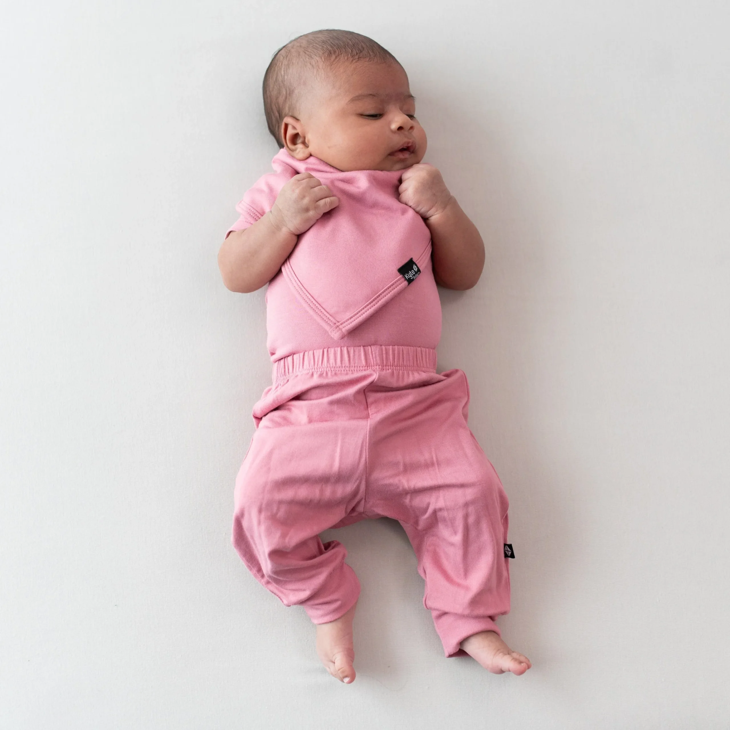 Kyte Baby Bib in Apple Blossom Discount