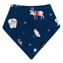 Kyte Baby Bib in Frosty Friends Outlet