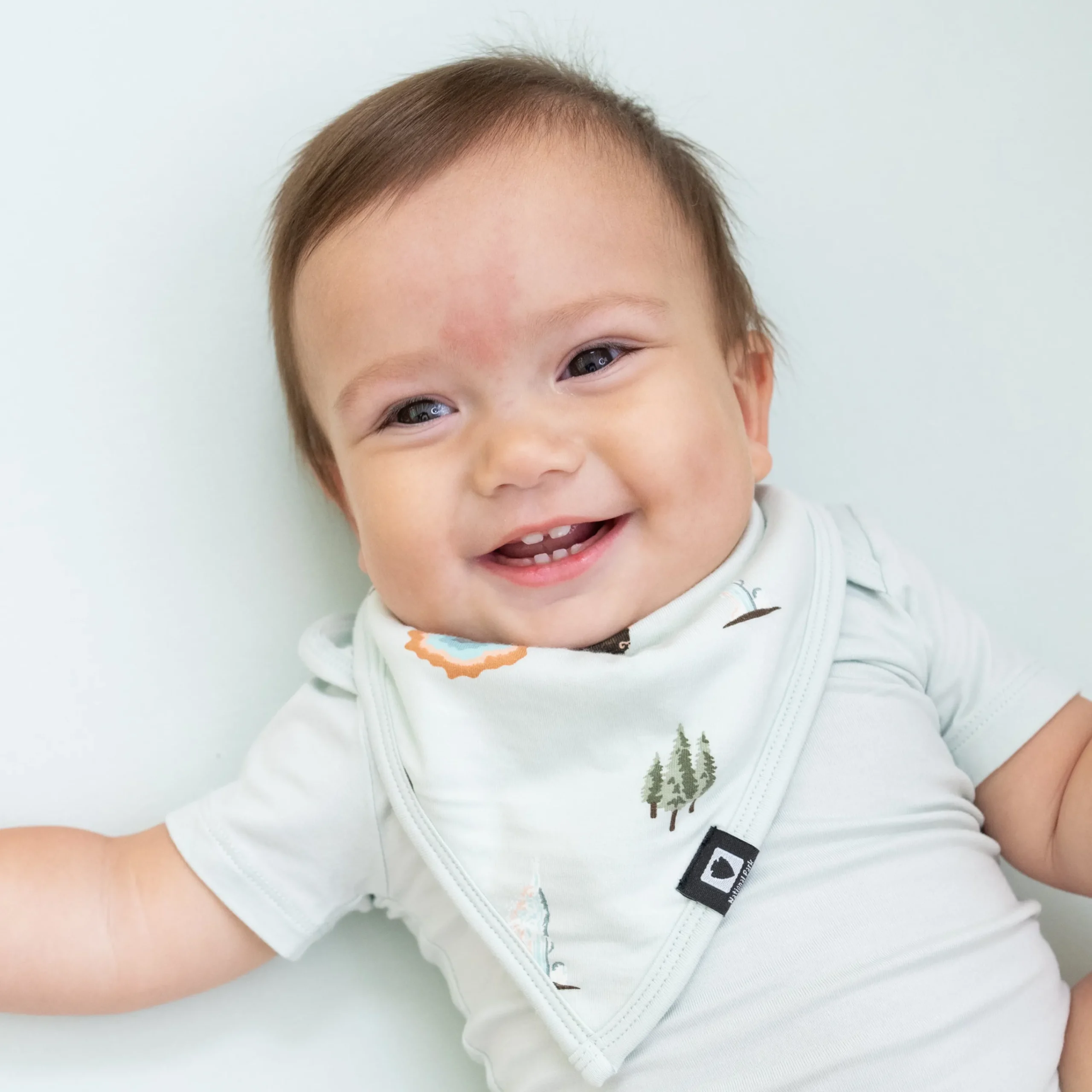 Kyte Baby Bib in Yellowstone Clearance