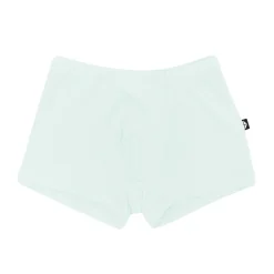 Kyte Baby Briefs in Dew Outlet