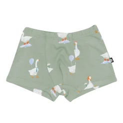 Kyte Baby Briefs in Silly Goose Outlet
