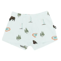 Kyte Baby Briefs in Yellowstone Clearance