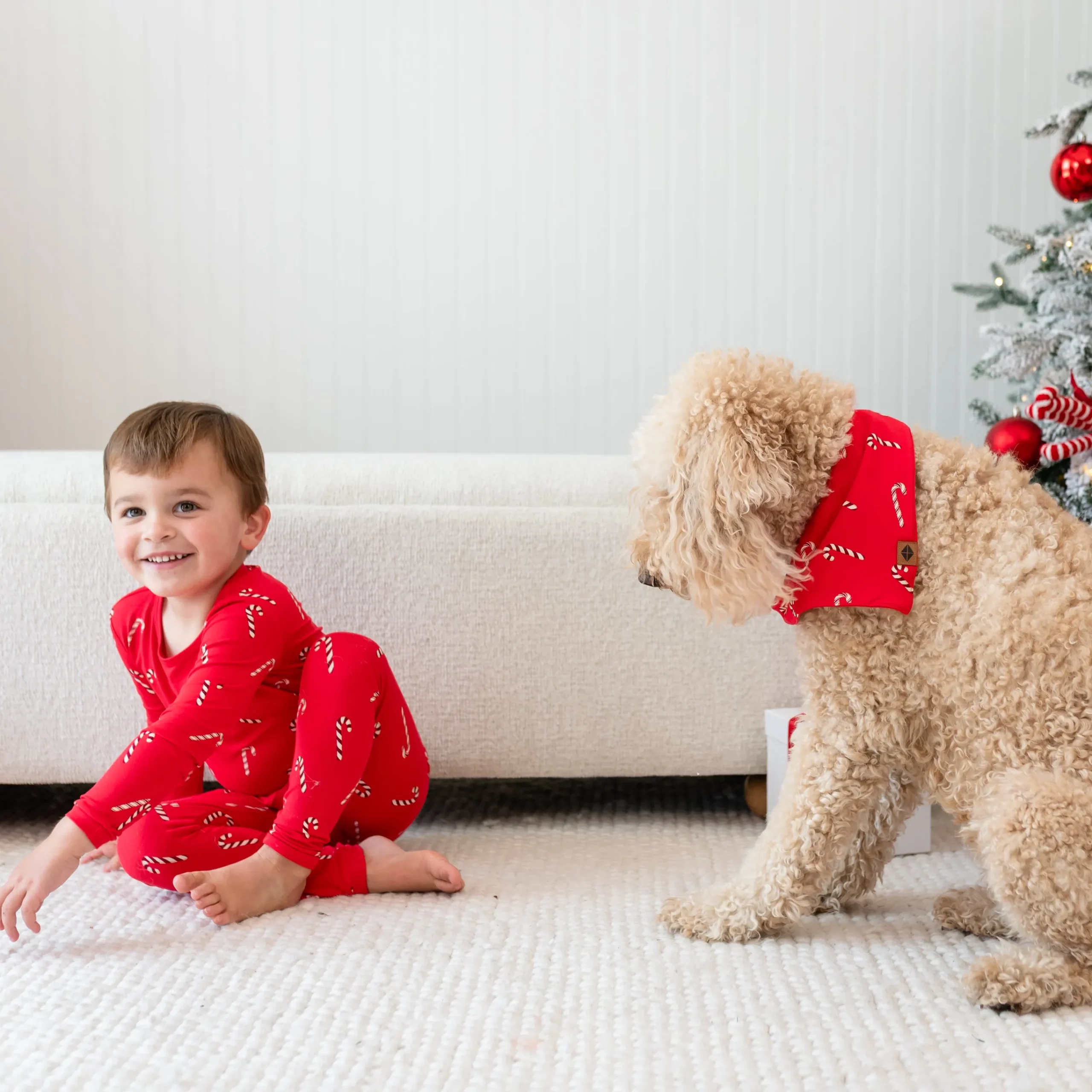 Kyte Baby Dog Bandana in Candy Cane