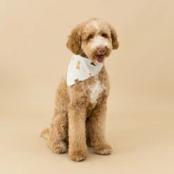 Kyte Baby Dog Bandana in Fluffy Dog Outlet