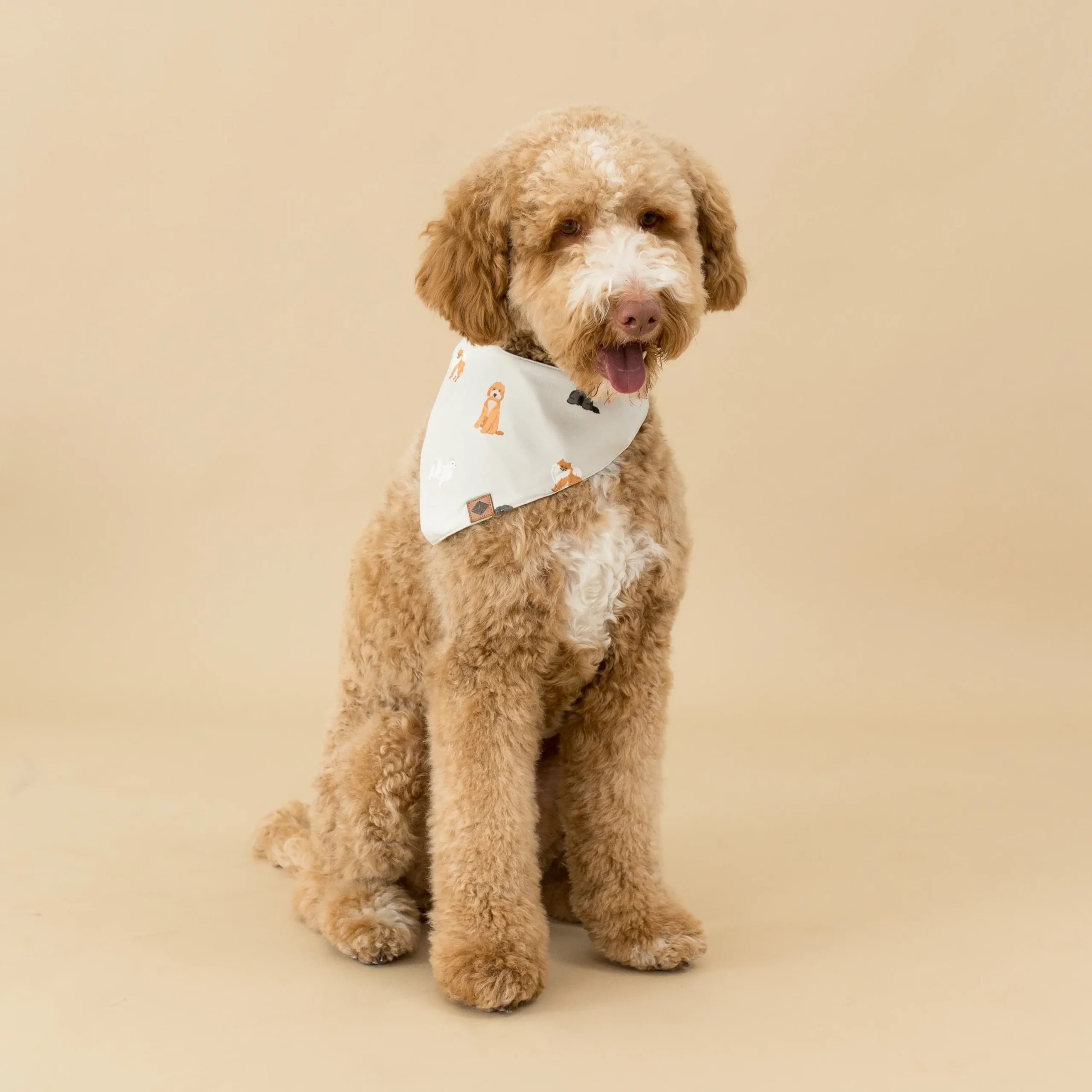 Kyte Baby Dog Bandana in Fluffy Dog Outlet