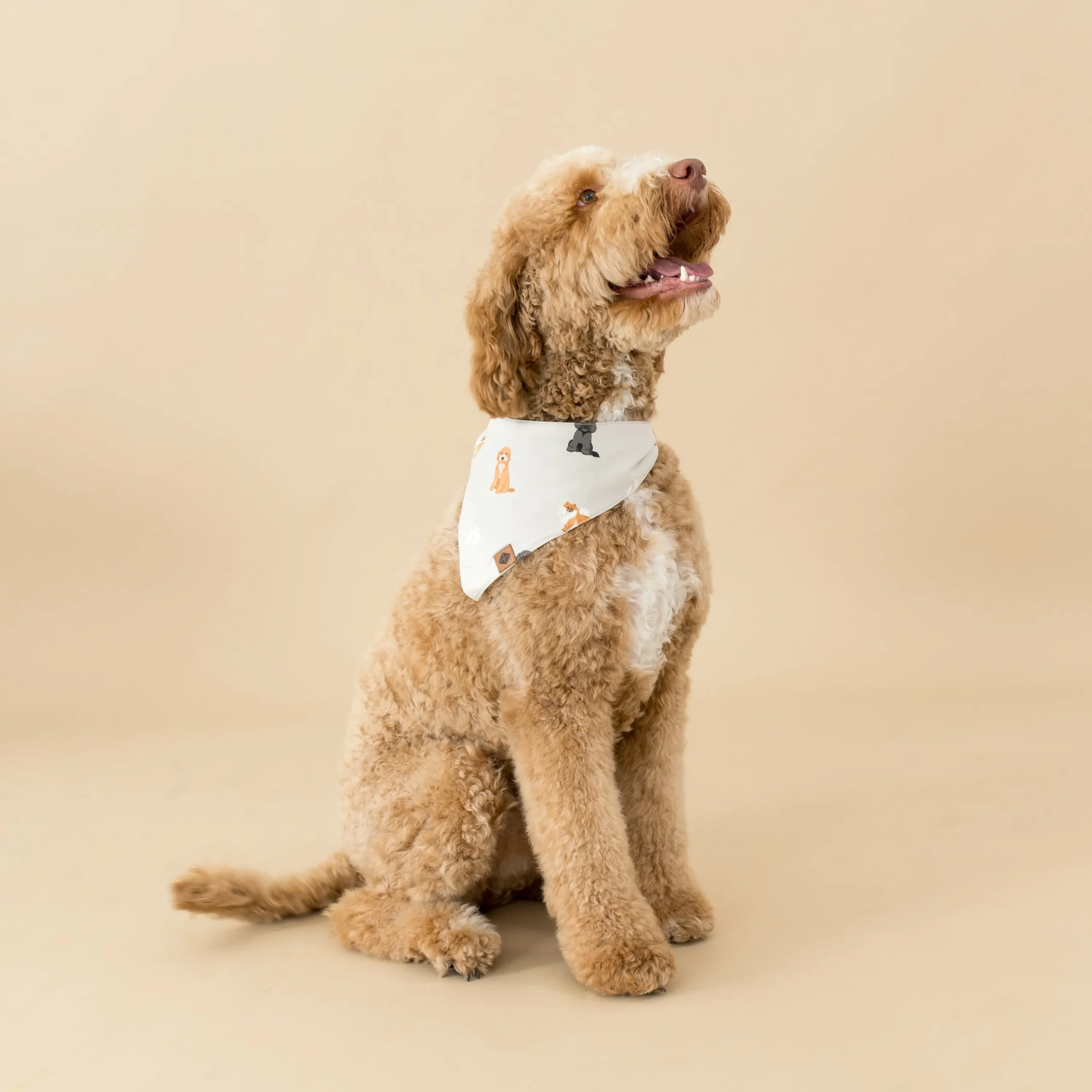 Kyte Baby Dog Bandana in Fluffy Dog Outlet