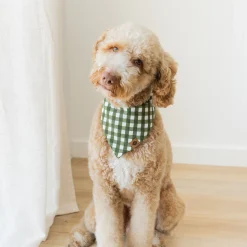 Kyte Baby Dog Bandana in Gingham Fir Outlet