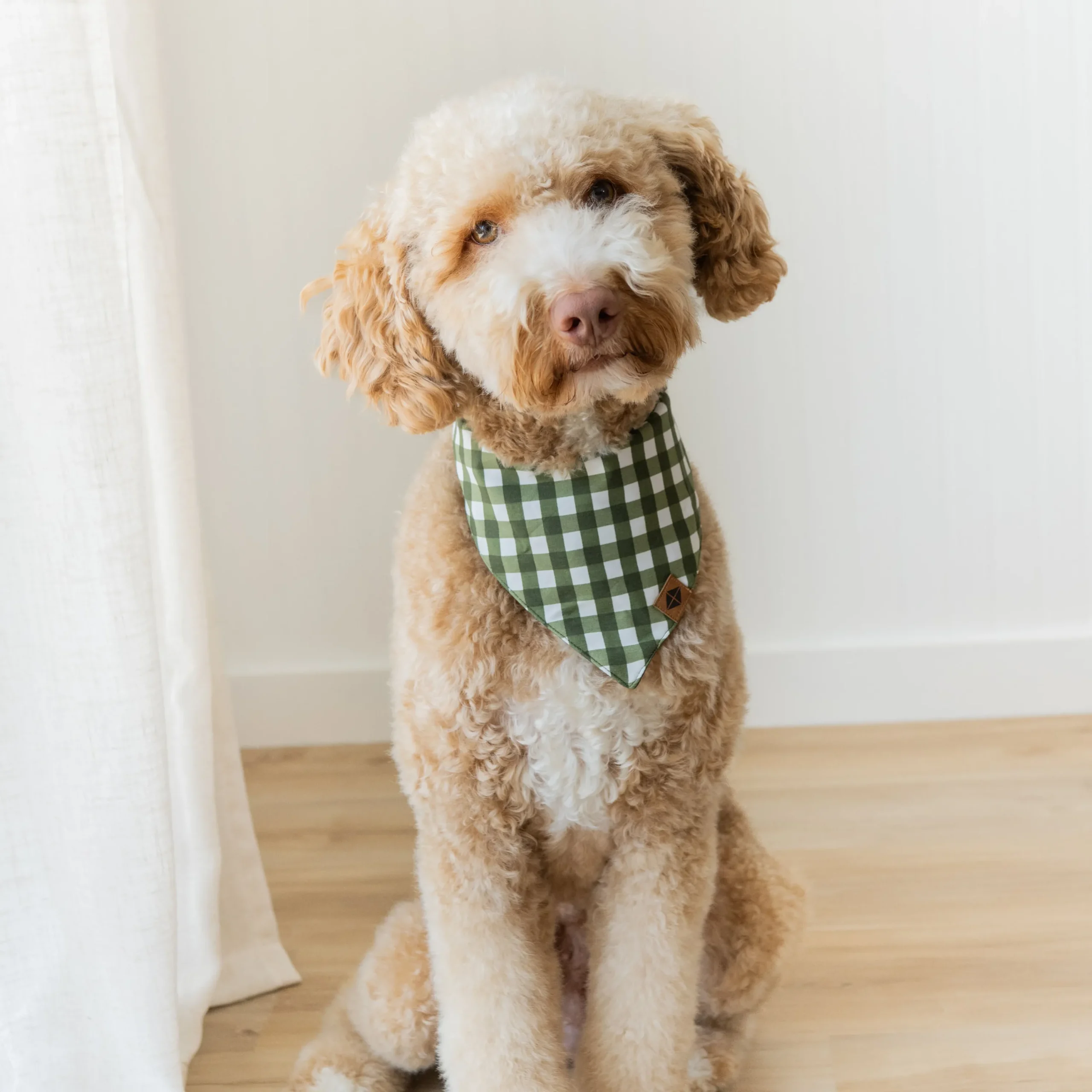 Kyte Baby Dog Bandana in Gingham Fir Outlet