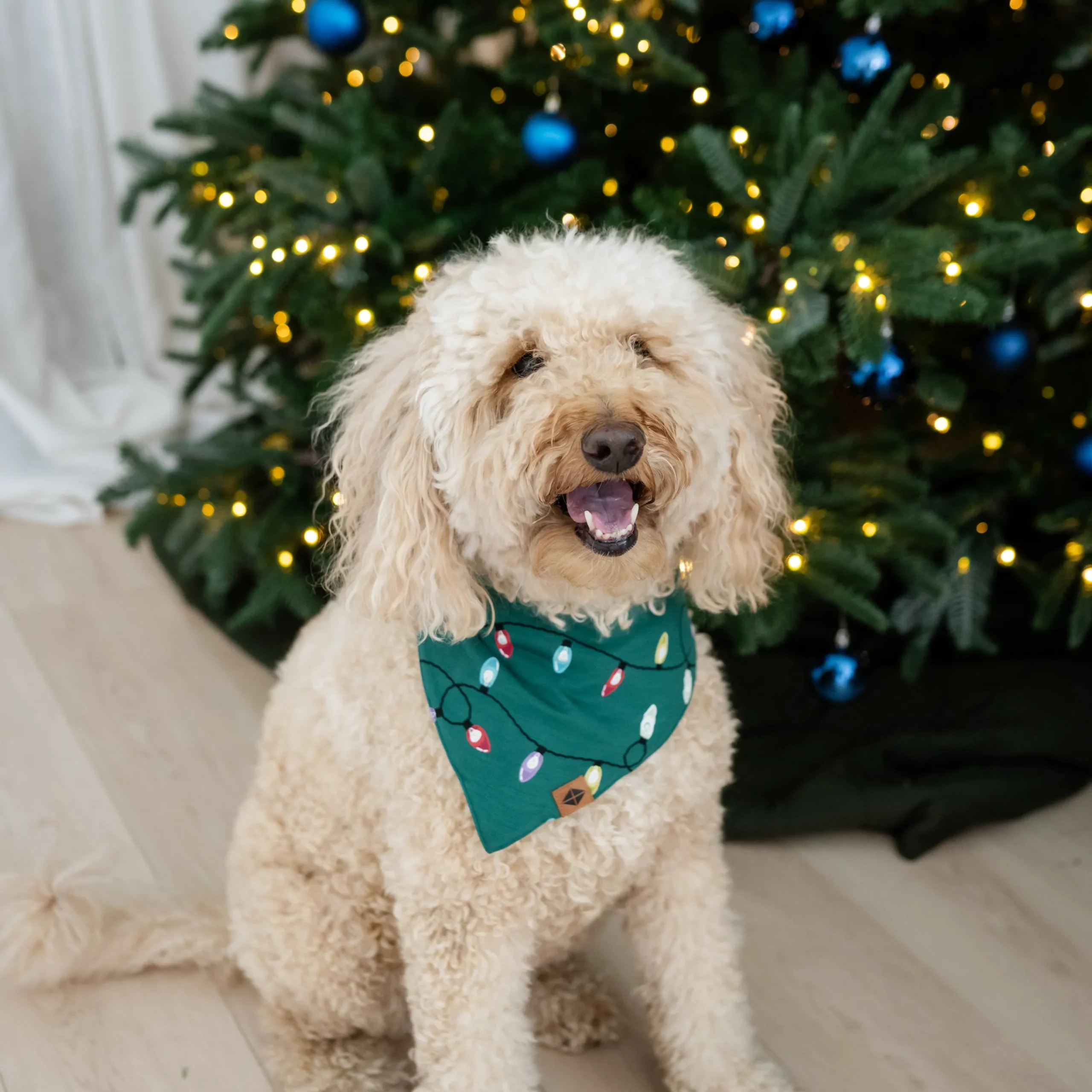 Kyte Baby Dog Bandana in Merry and Bright