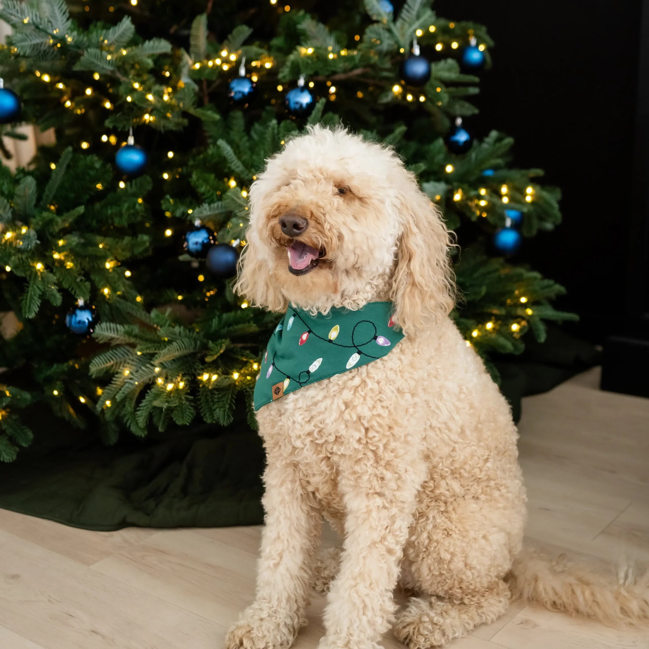 Kyte Baby Dog Bandana in Merry and Bright