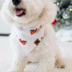 Kyte Baby Dog Bandana in Santa Sleigh Online