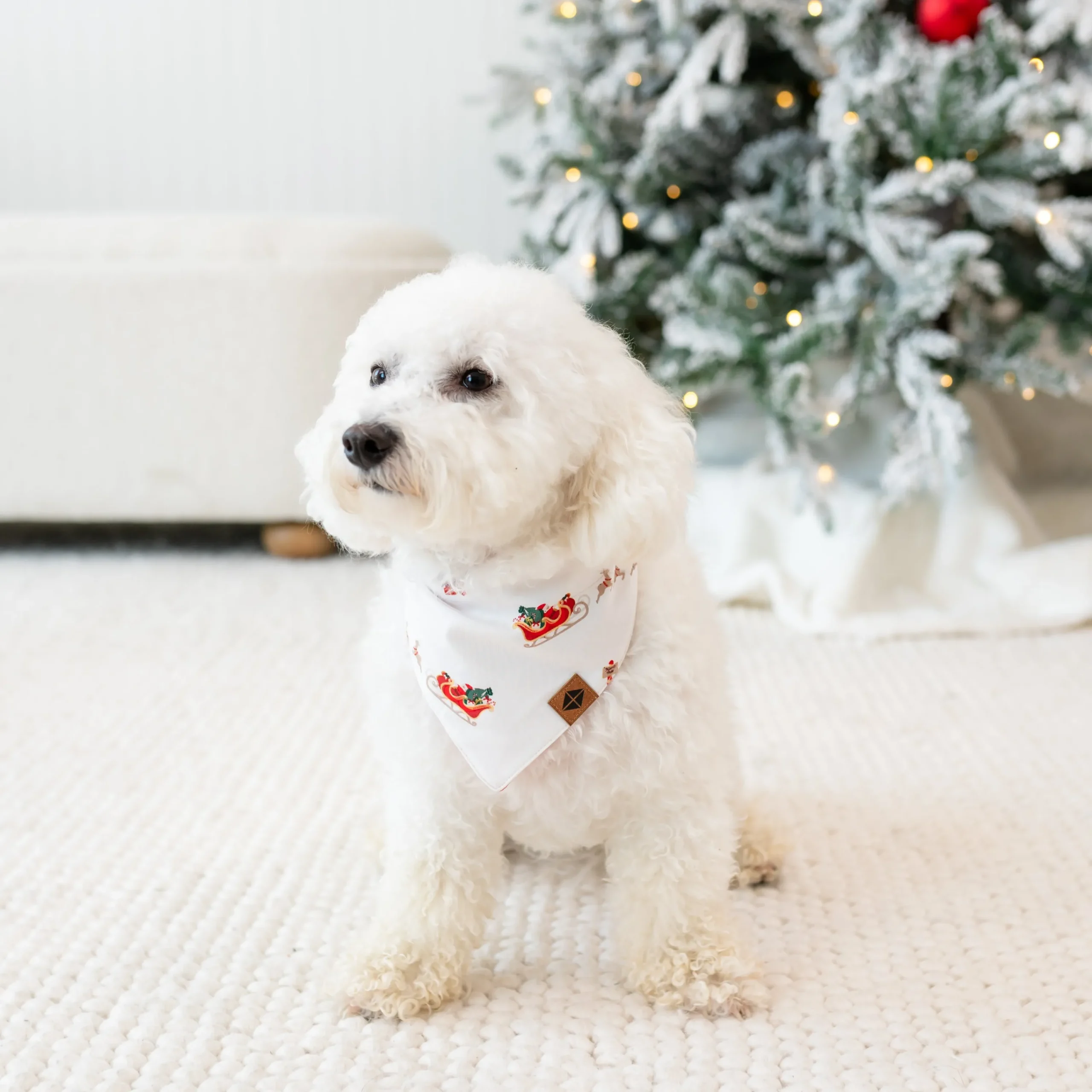 Kyte Baby Dog Bandana in Santa Sleigh Online