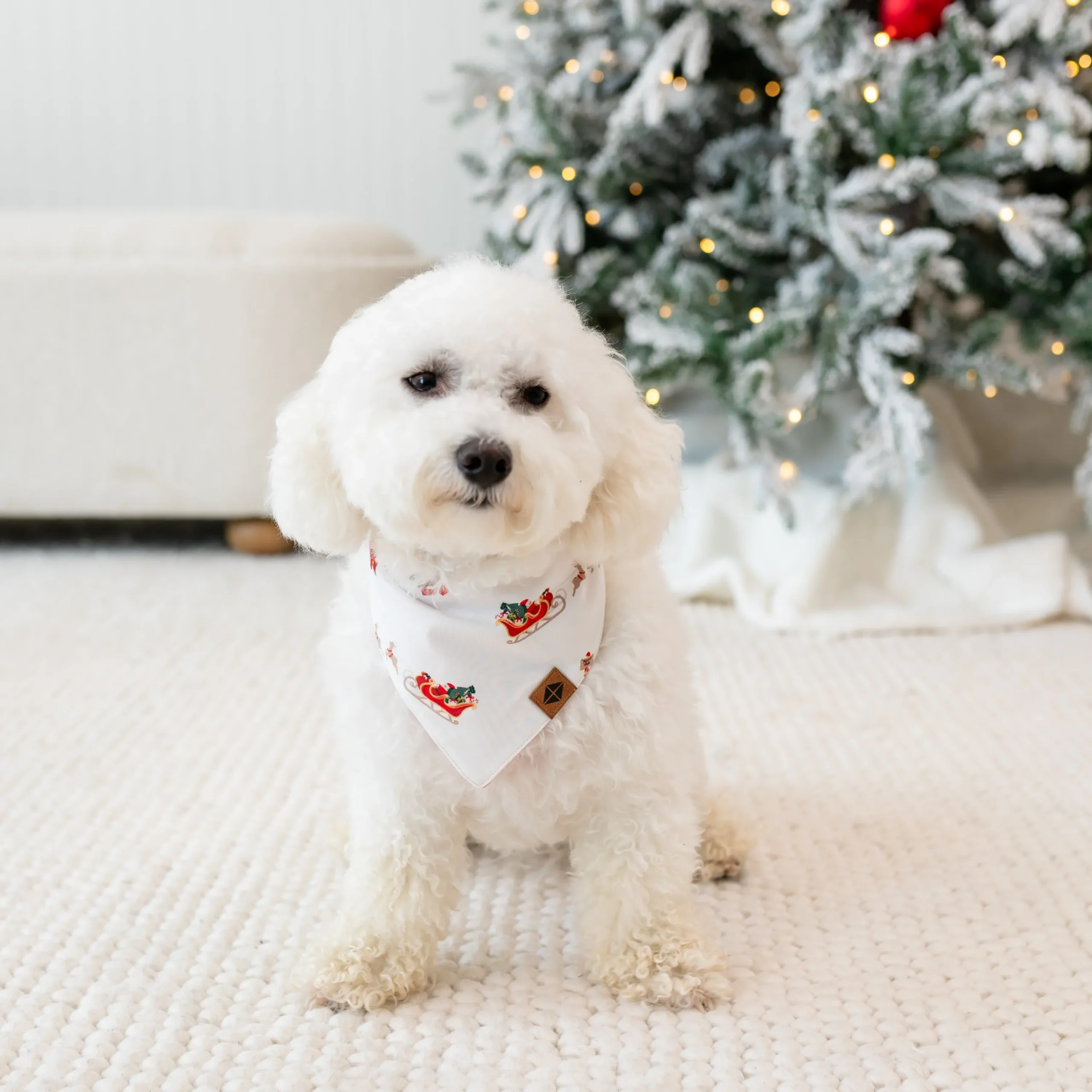 Kyte Baby Dog Bandana in Santa Sleigh Online