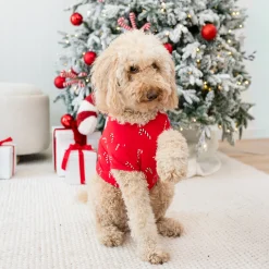 Kyte Baby Dog Tee in Candy Cane Best