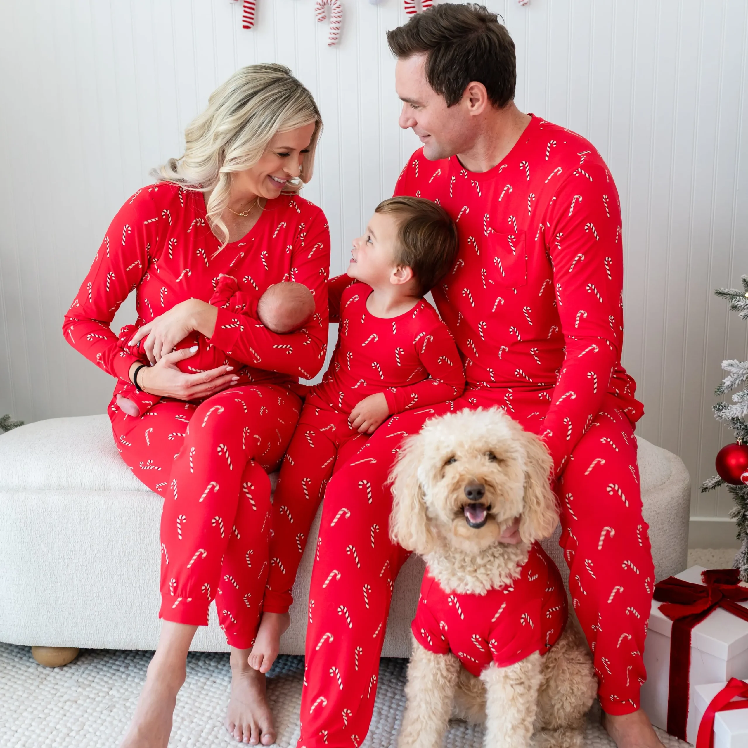 Kyte Baby Dog Tee in Candy Cane Best