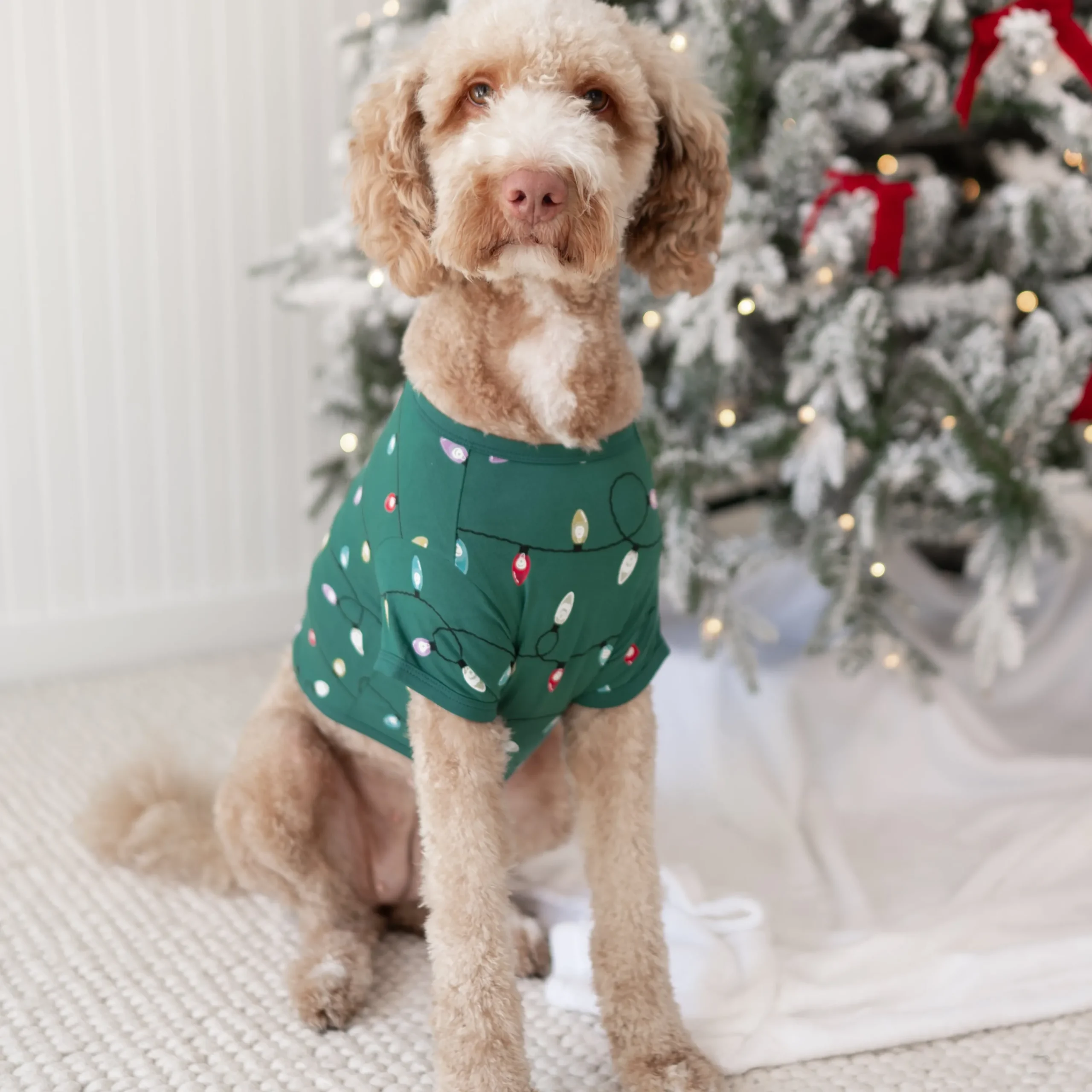 Kyte Baby Dog Tee in Merry and Bright Merry & Bright Clearance