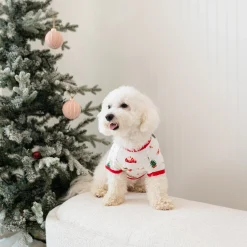 Kyte Baby Dog Tee in Santa Sleigh Clearance