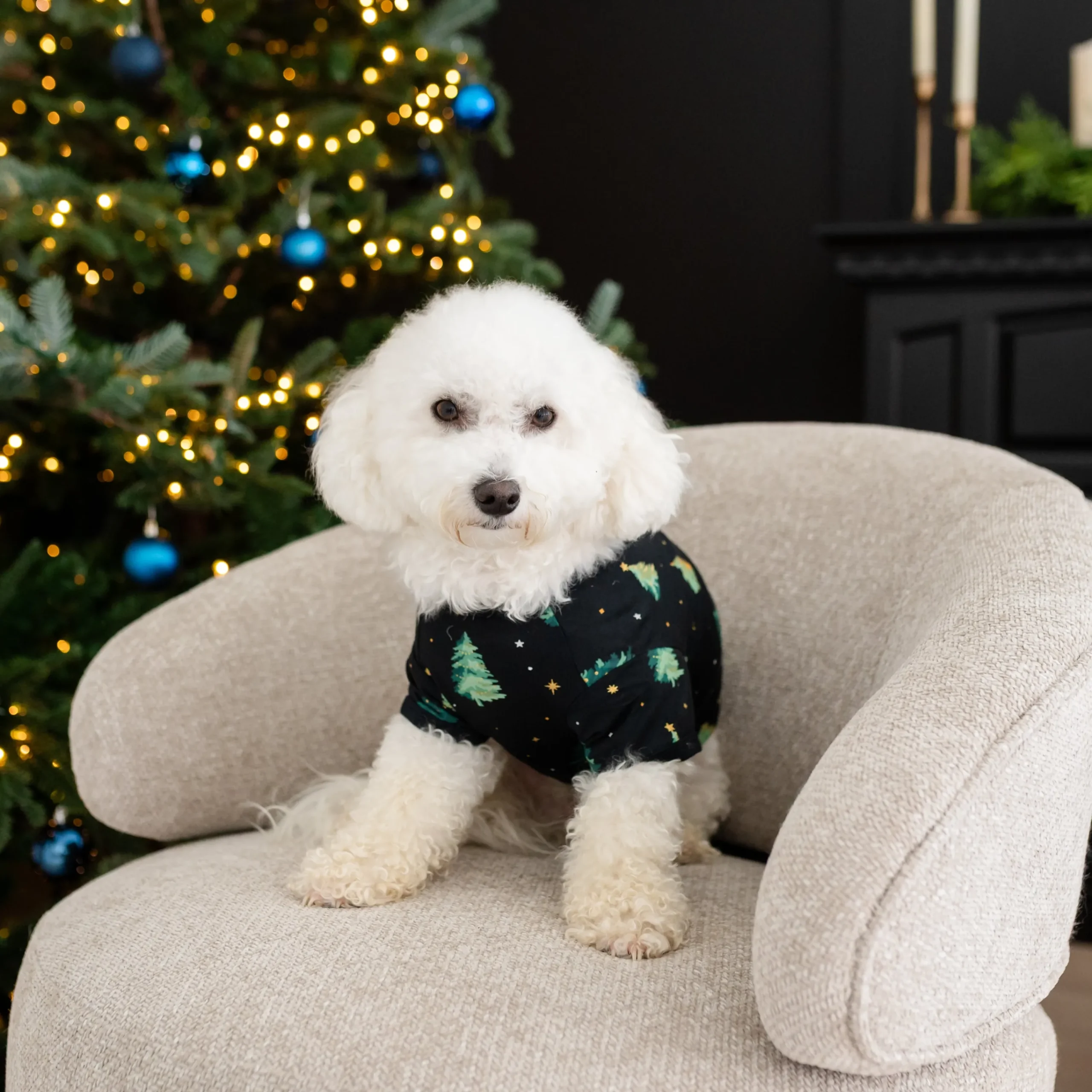 Kyte Baby Dog Tee in Twinkle Tree Online