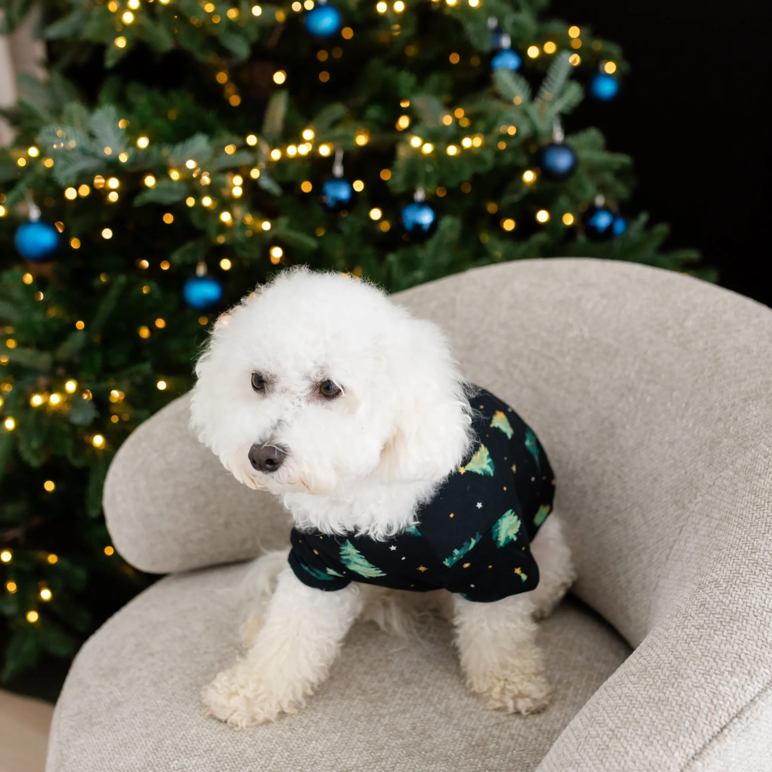Kyte Baby Dog Tee in Twinkle Tree Online