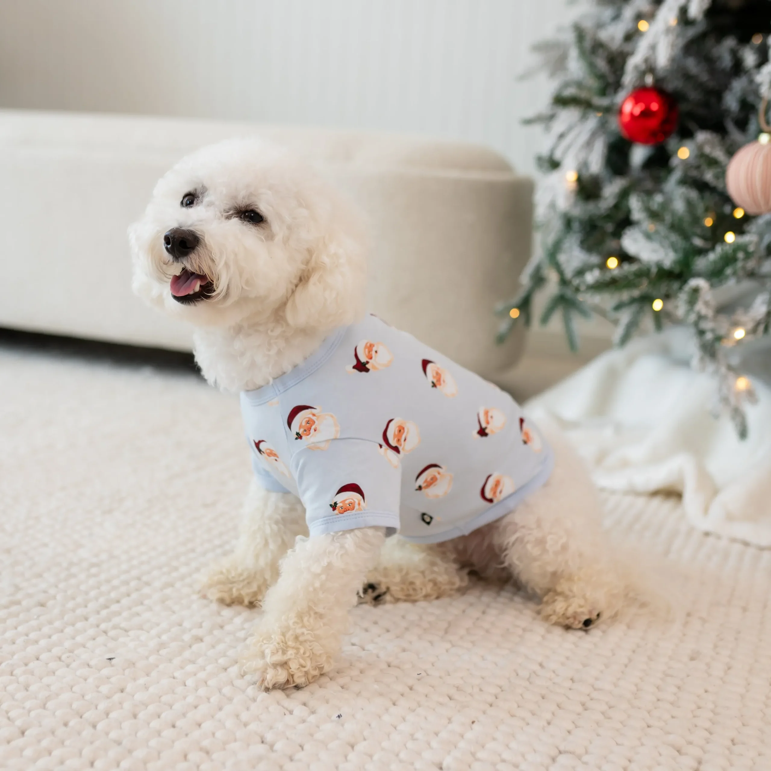 Kyte Baby Dog Tee in Vintage Santa Hot