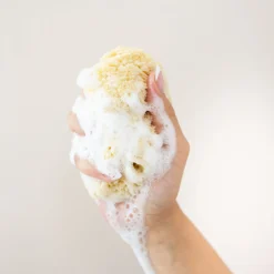 Kyte Baby Sea Sponge New
