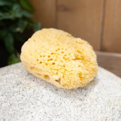 Kyte Baby Sea Sponge New