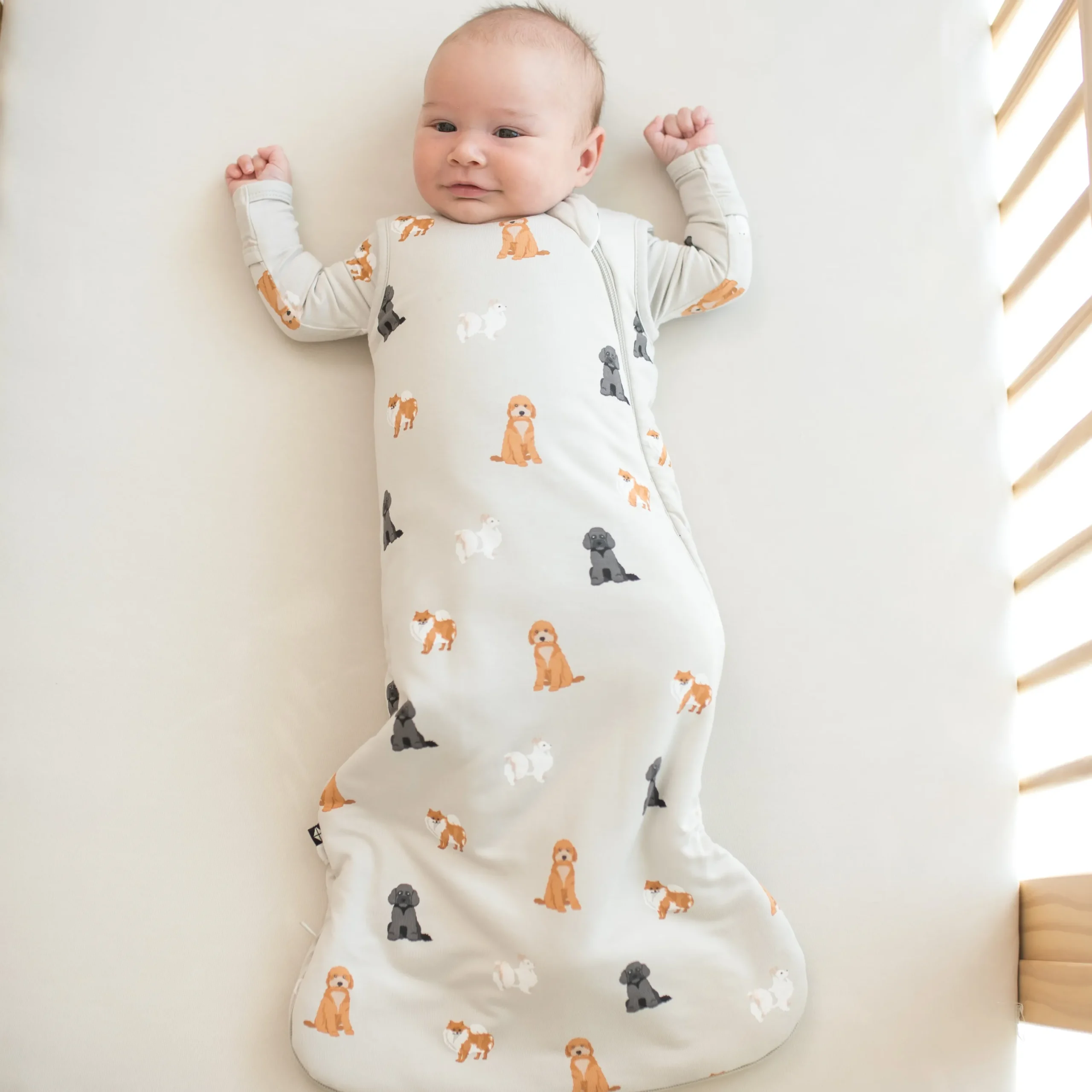 Kyte Baby Sleep Bag in 1.0 Fluffy Dog New