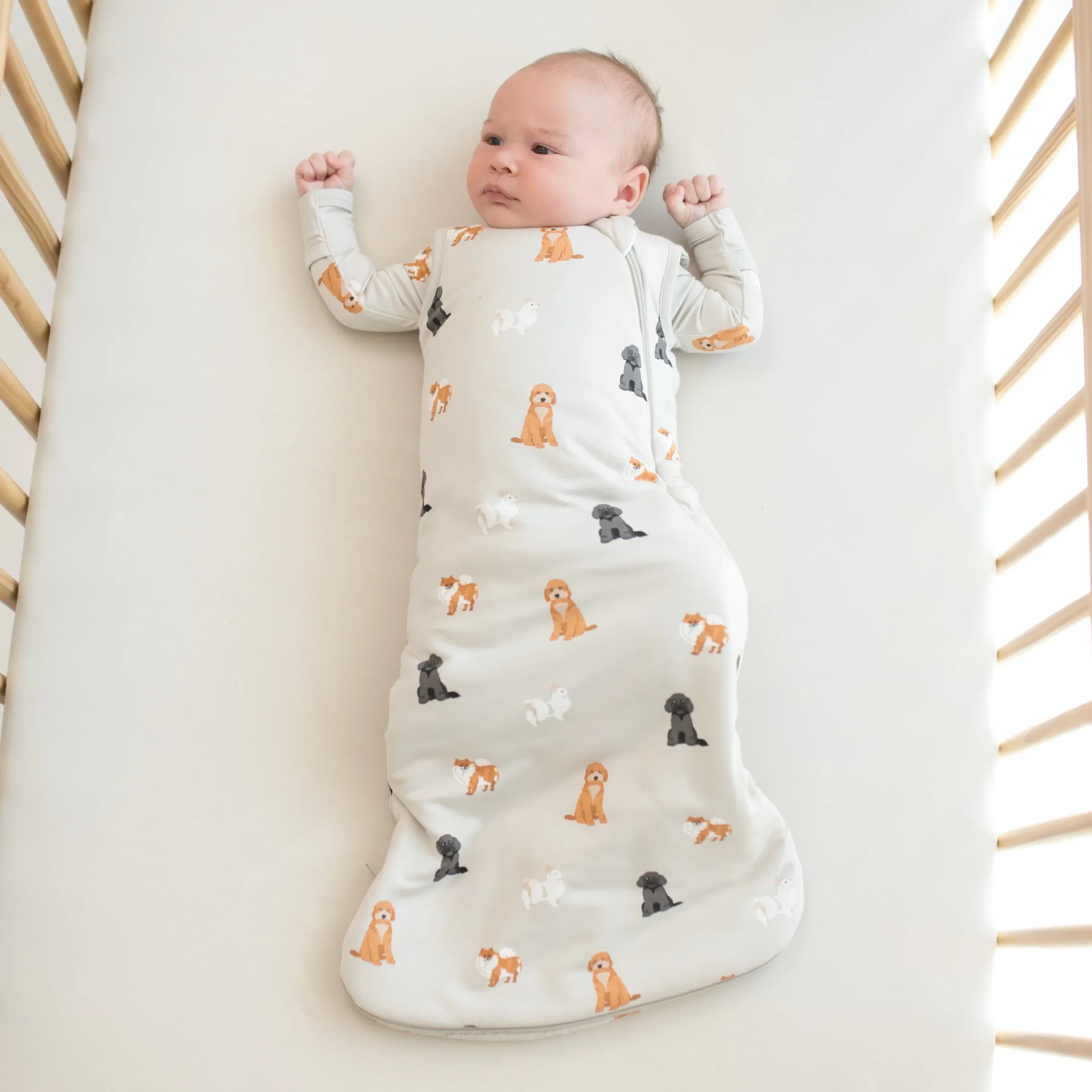 Kyte Baby Sleep Bag in 1.0 Fluffy Dog New