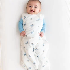Kyte Baby Sleep Bag in 1.0 Jurassic