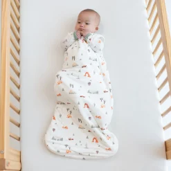 Kyte Baby Sleep Bag in 1.0 Road Trip New