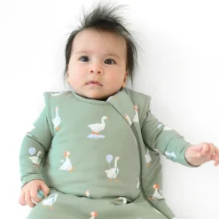 Kyte Baby Sleep Bag in 1.0 Silly Goose