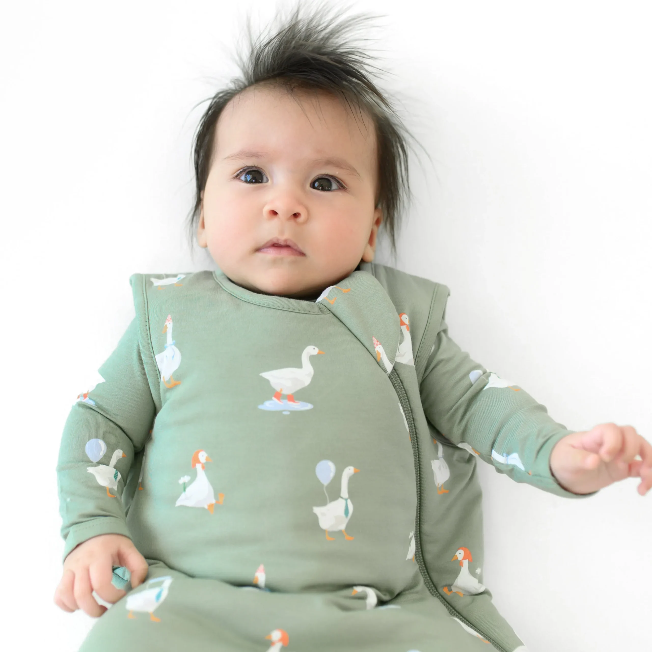 Kyte Baby Sleep Bag in 1.0 Silly Goose