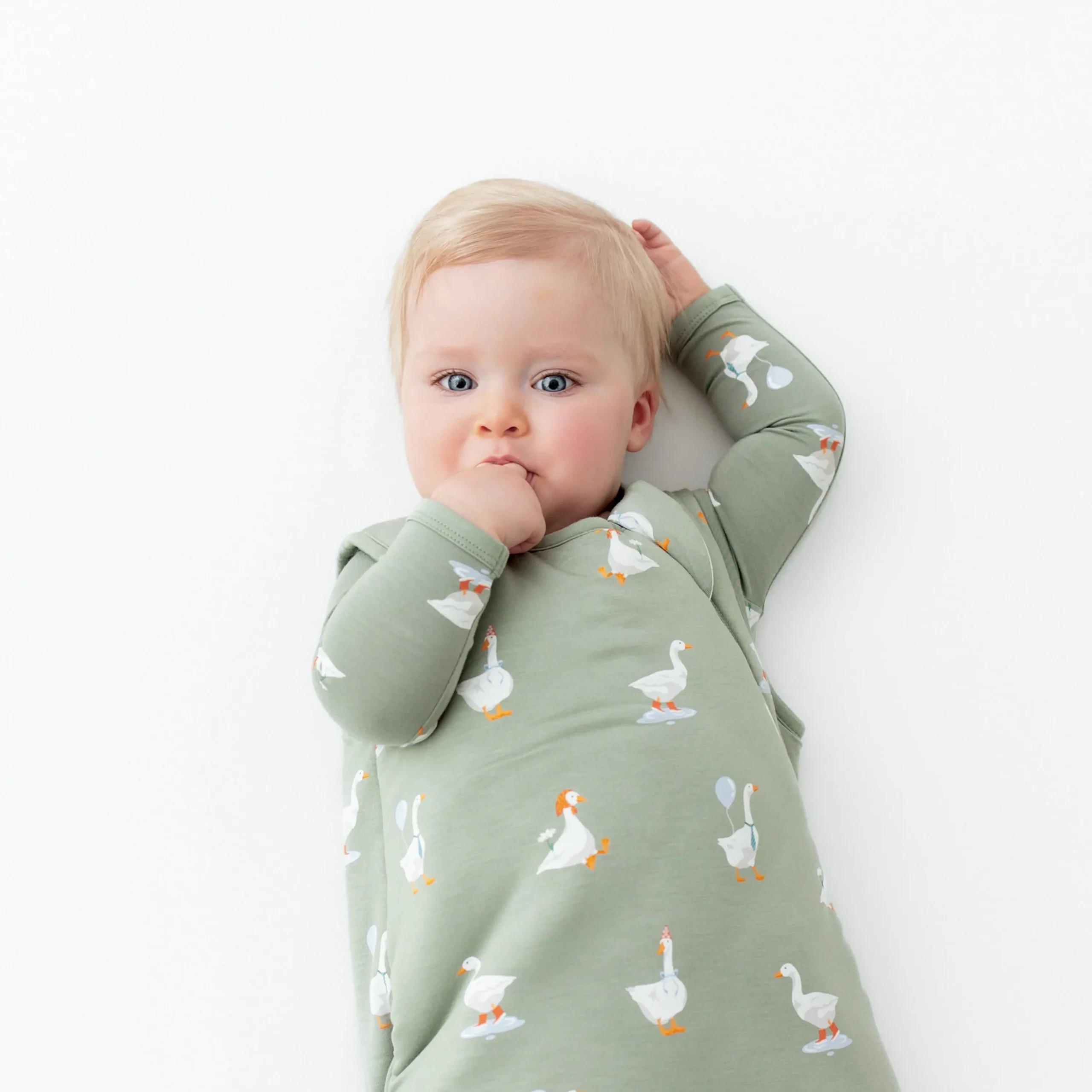 Kyte Baby Sleep Bag in 2.5 Silly Goose New
