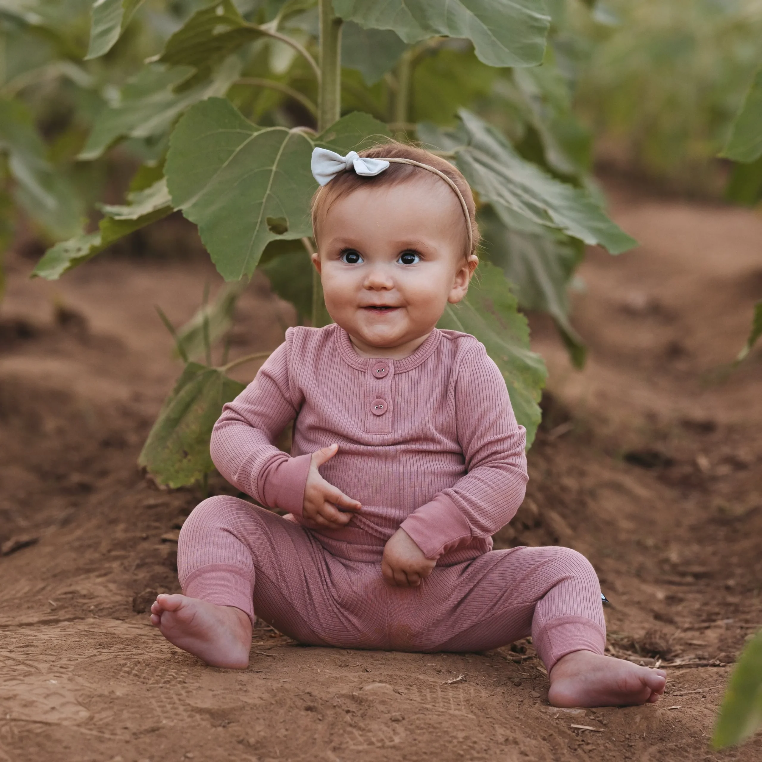 Kyte Baby Tiny Nylon Bow in Oat Sale