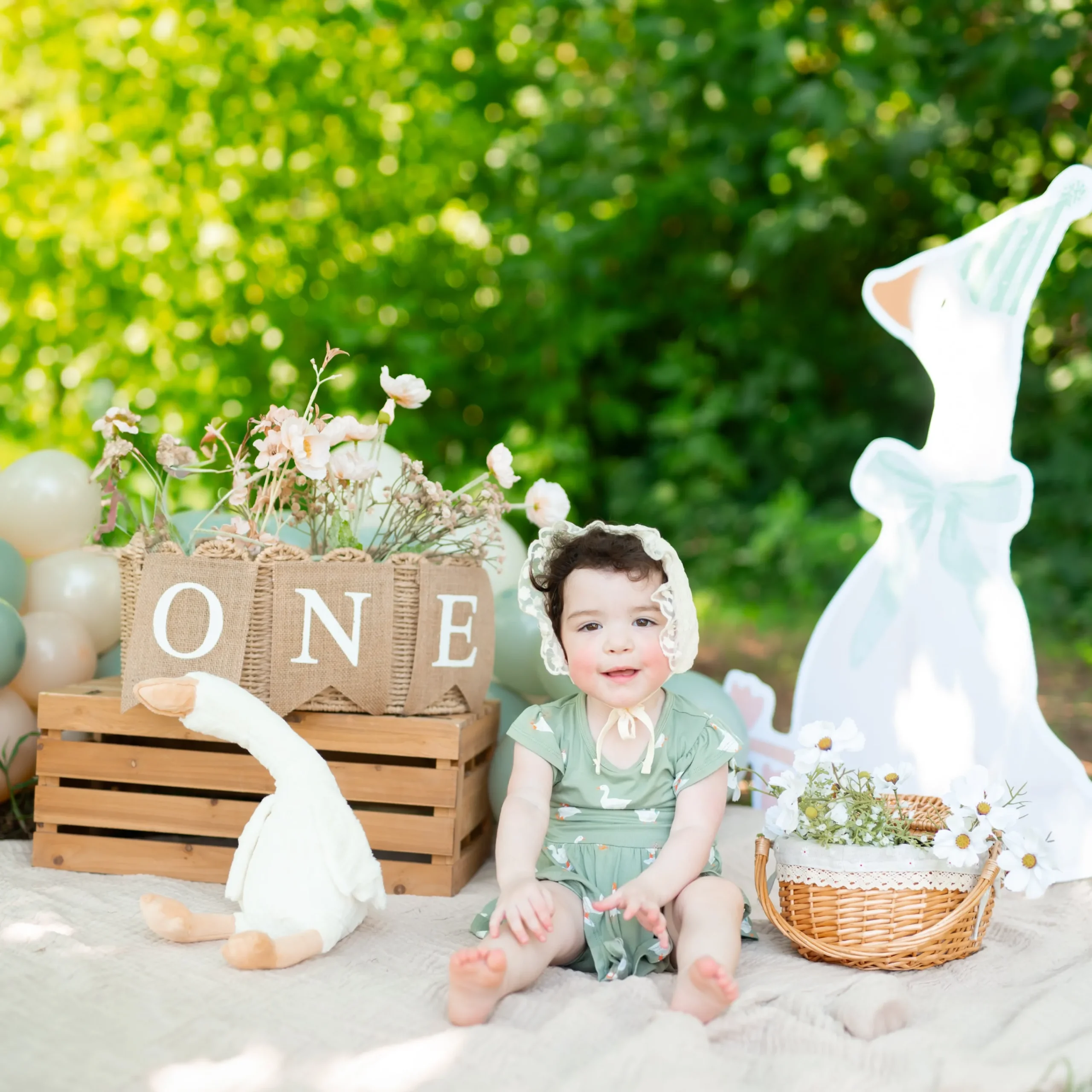 Kyte Baby Twirl Bodysuit Dress in Silly Goose Clearance