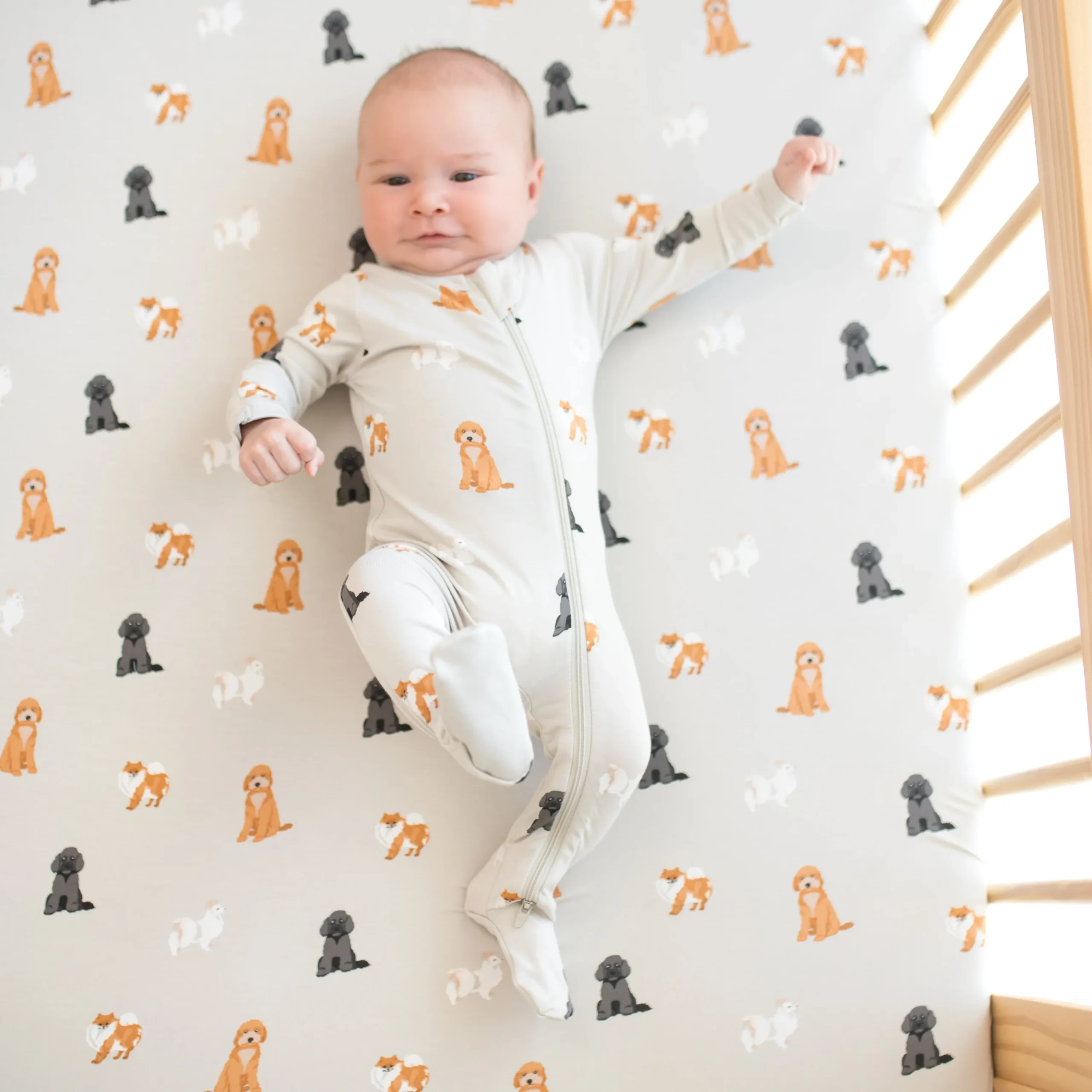 Kyte Baby Zippered Footie in Fluffy Dog Sale