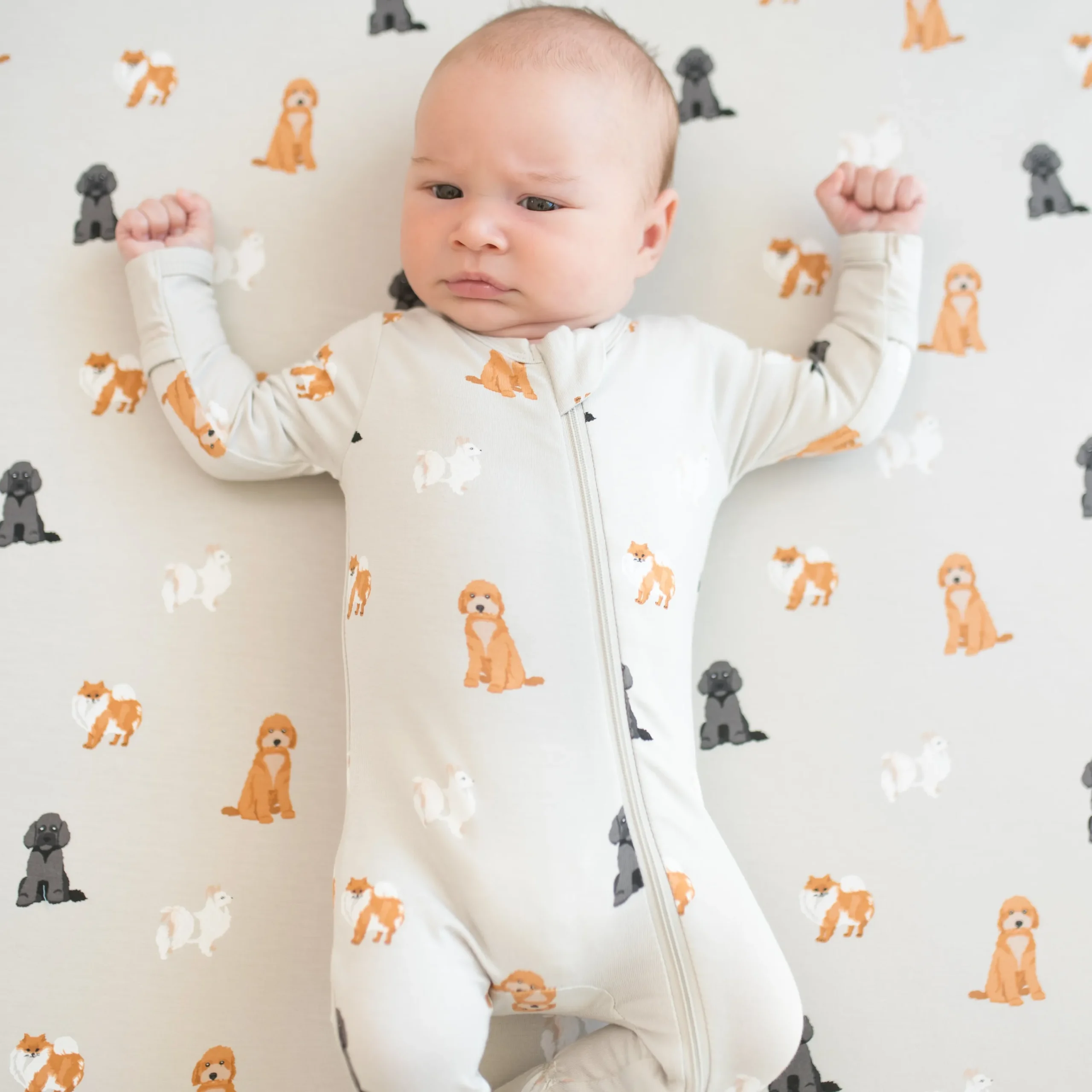 Kyte Baby Zippered Footie in Fluffy Dog Sale